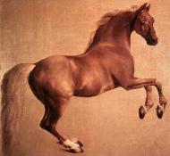 Whistlejacket, painted by George Stubbs