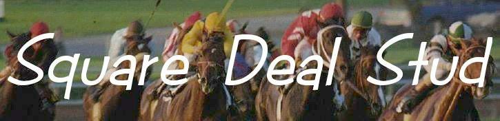 Square Deal Stud